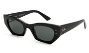 Ray-Ban ZENA4430 667781