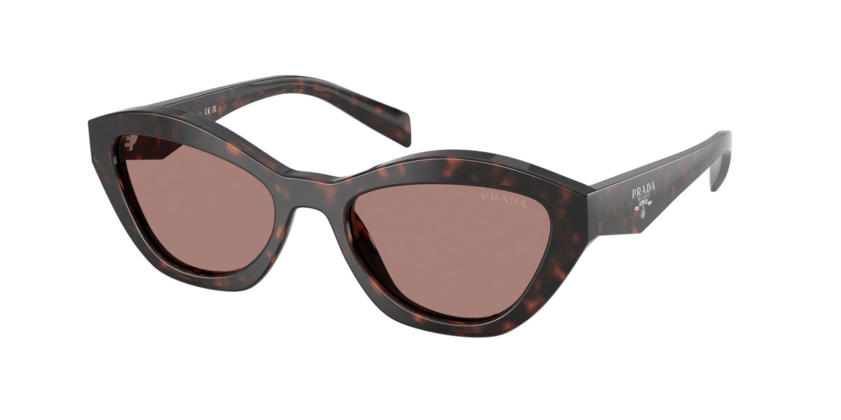 Prada PRA02S 17N60B