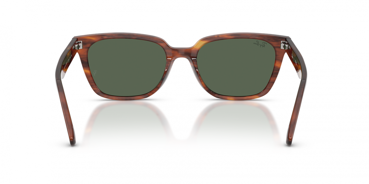 Ray-Ban RB2243D 954
