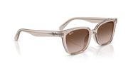 Ray-Ban RB2243D 682713
