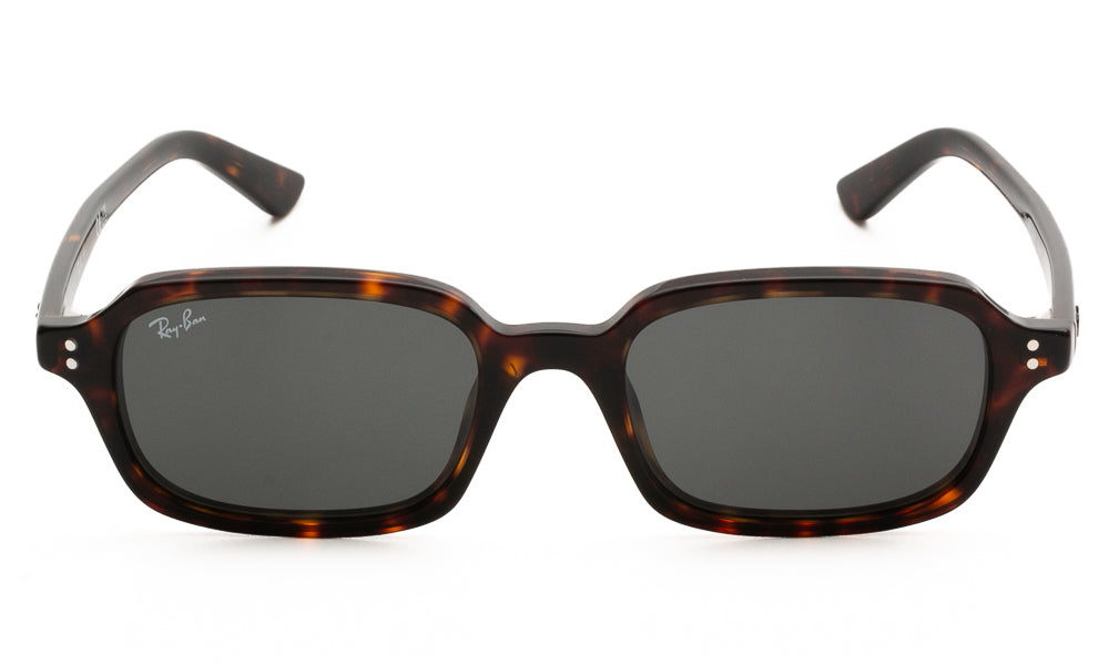 Ray-Ban ZURI4455 135987