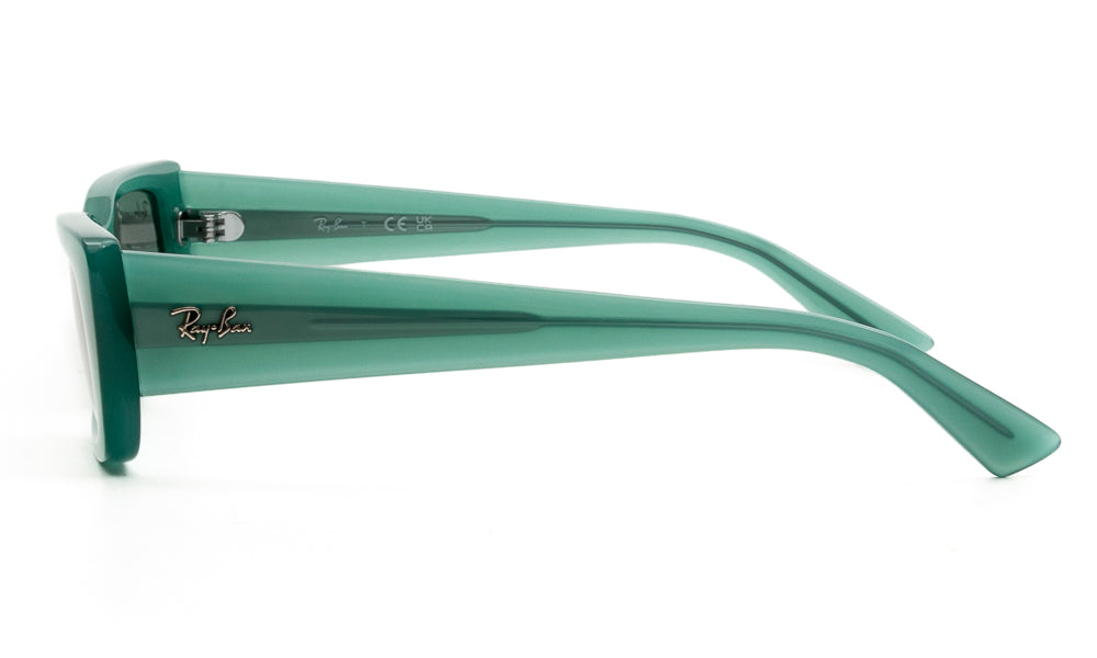 Ray-Ban TERU4425 676282