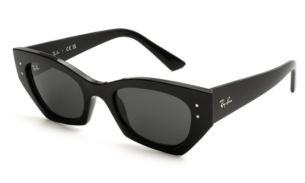 Ray-Ban ZENA4430 667787