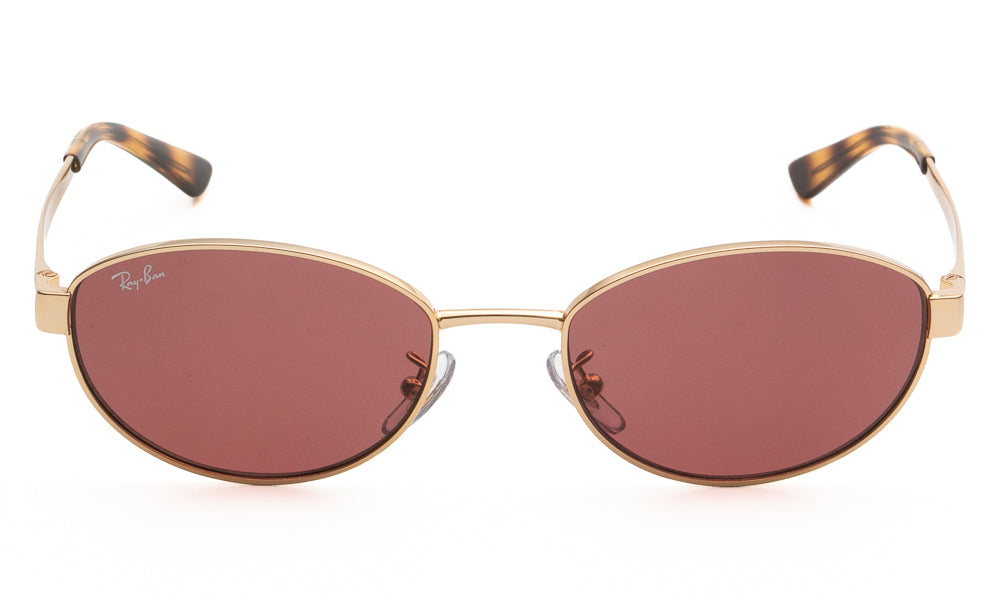 Ray-Ban RB3774D 001/69