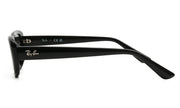 Ray-Ban RB4436D 667787