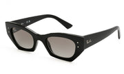 Ray-Ban ZENA4430 667711