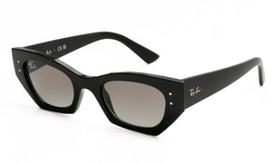 Ray-Ban ZENA4430 667711