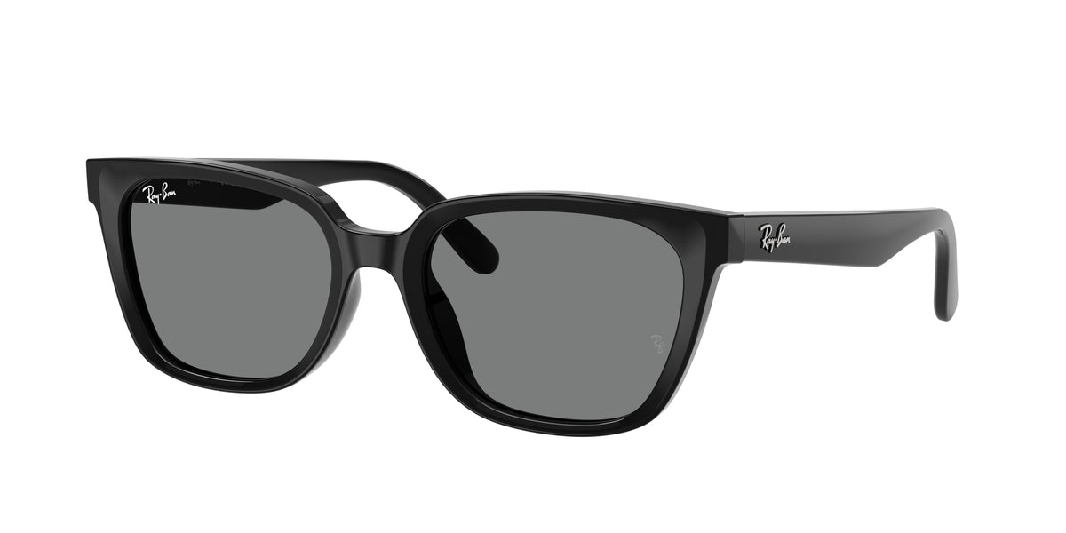 Ray-Ban RB2243D 901