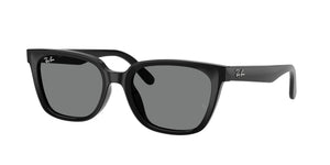 Ray-Ban RB2243D 901
