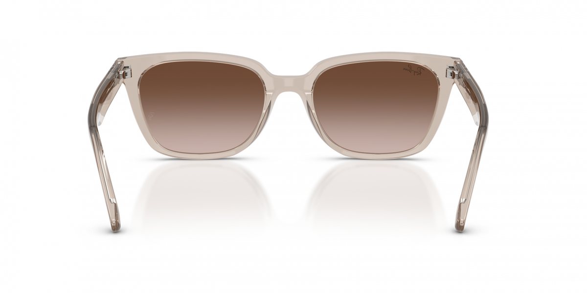 Ray-Ban RB2243D 682713