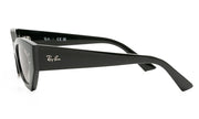 Ray-Ban ZENA4430 667711