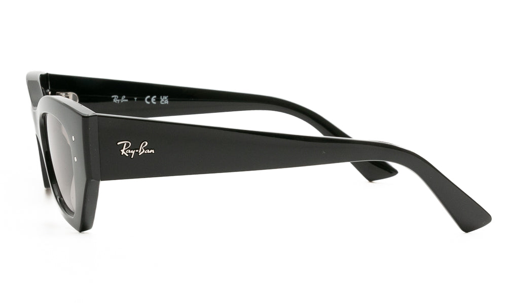Ray-Ban ZENA4430 667711
