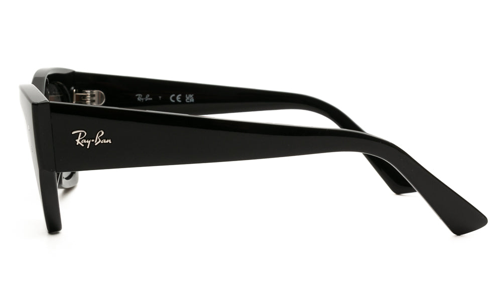 Ray-Ban ZENA4430 667787