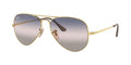 Ray-Ban Aviator Metal II RB 3689 001 GE
