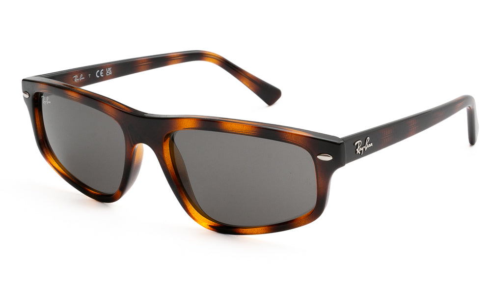 Ray-Ban RB2225 710/B1