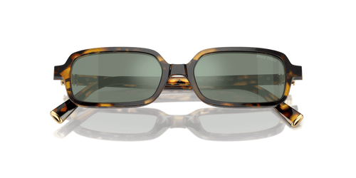 Miu Miu 11ZS VAU04M