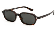 Ray-Ban ZURI4455 135987