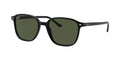 Ray-Ban RB 2193 Leonard 901 31 53