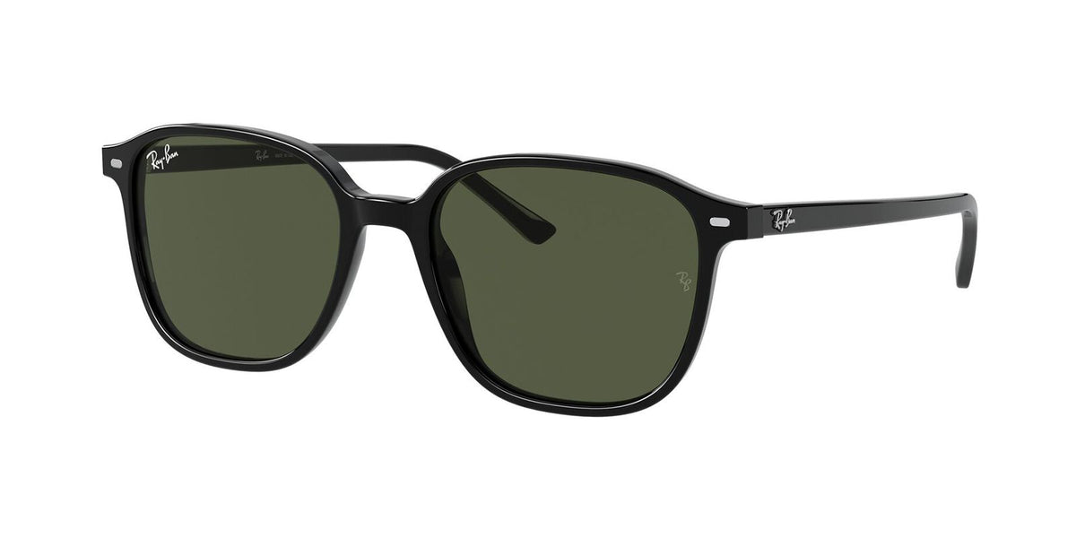 Ray-Ban RB 2193 Leonard 901 31 53