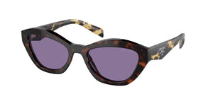 Prada PRA02S17N50B 17N50B