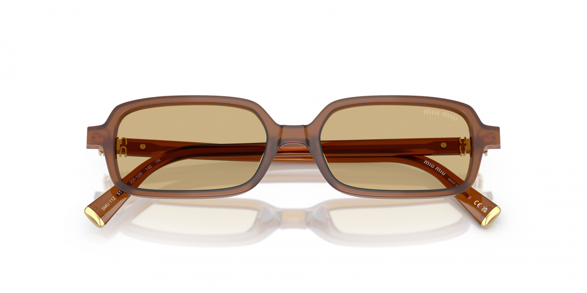 Miu Miu 11ZS 22I10R