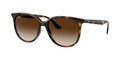 Ray-Ban RB 4378 710 13 54