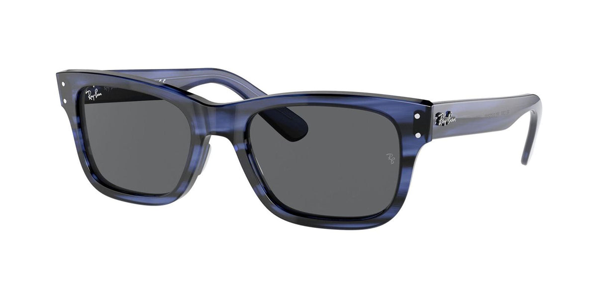 Ray-Ban Mr Burbank RB 2283 1339 B1