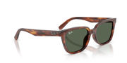 Ray-Ban RB2243D 954