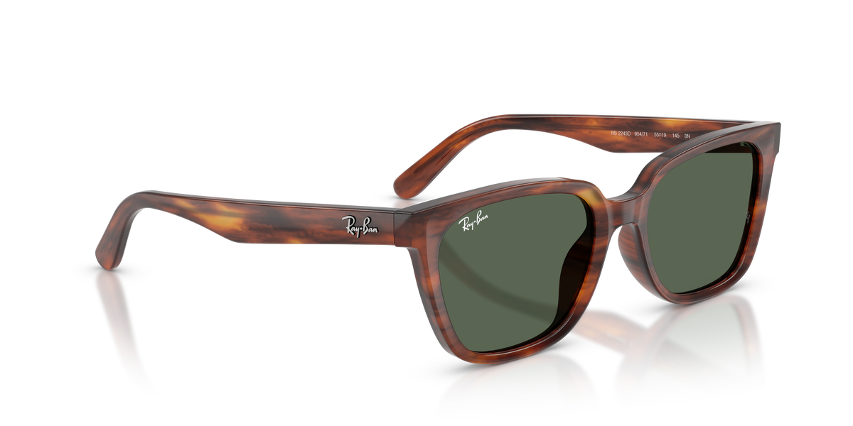 Ray-Ban RB2243D 954