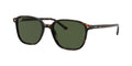 Ray-Ban RB 2193 Leonard 902 31 53