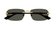 Gucci GG1221S 001