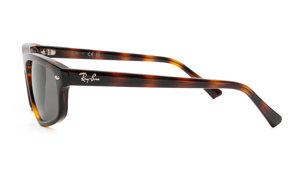 Ray-Ban RB2225 710/B1