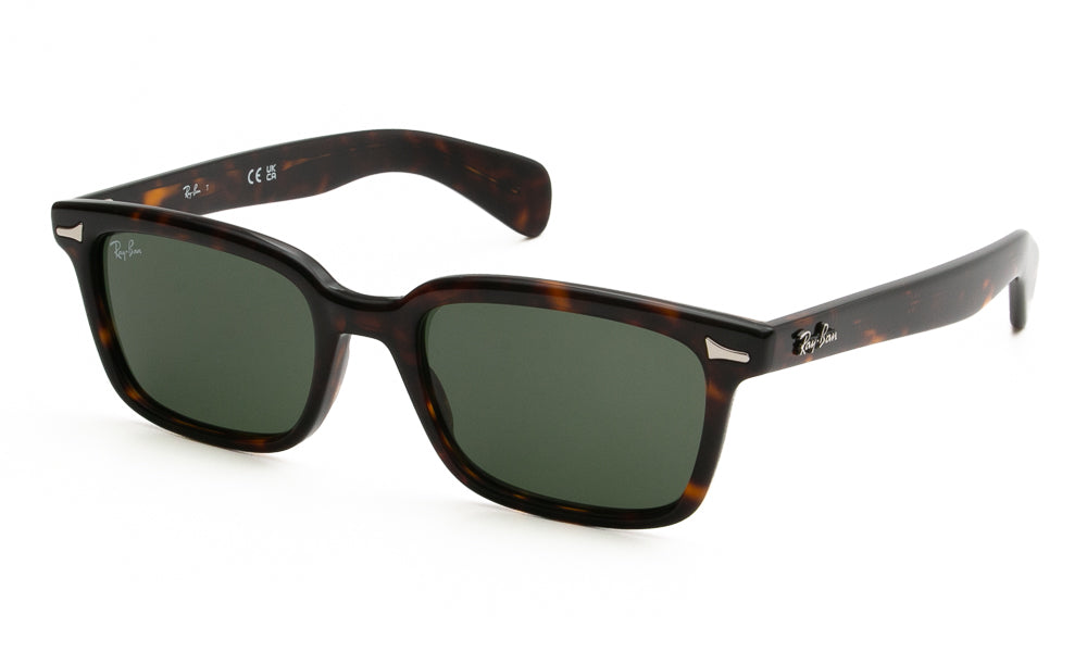 Ray-Ban BRUNEL2234 902/31