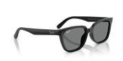 Ray-Ban RB2243D 901