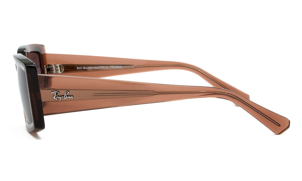 Ray-Ban KILIANE4395 6678T3