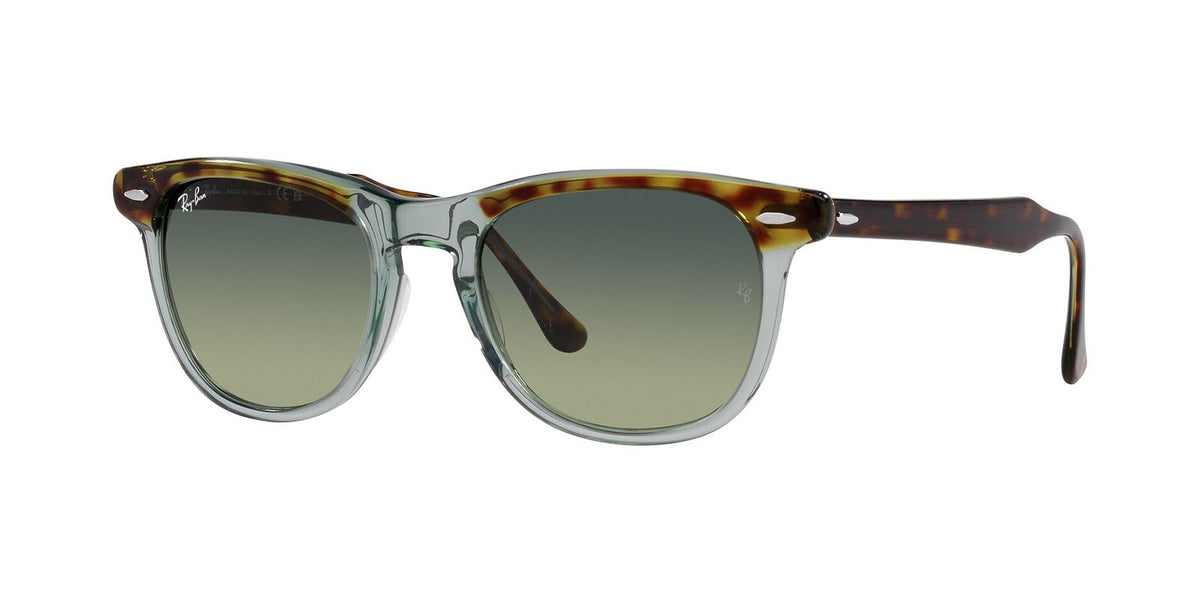 Ray-Ban RB 2398 Eagleeye 1376 BH 53