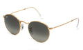 Ray-Ban ROUNDMETAL3447 001/71