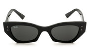 Ray-Ban ZENA4430 667787