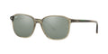 Ray-Ban RB 2193 Leonard 66355C 53
