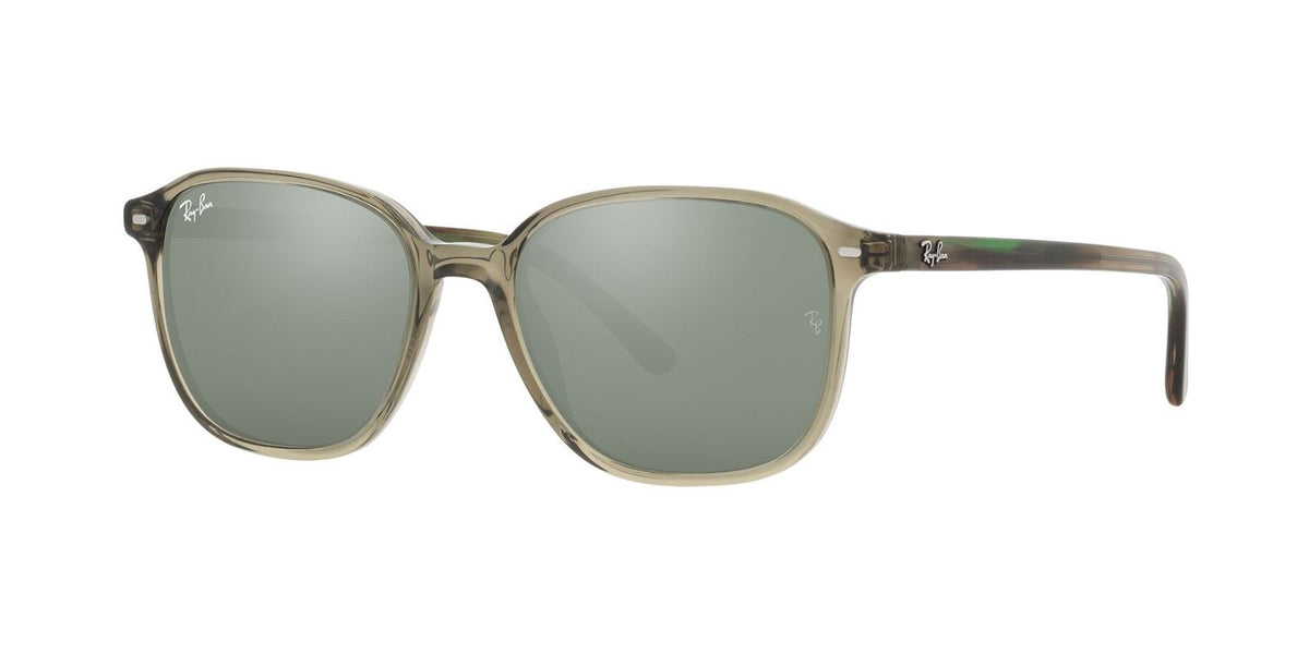 Ray-Ban RB 2193 Leonard 66355C 53