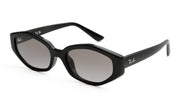 Ray-Ban RB4473D 667711