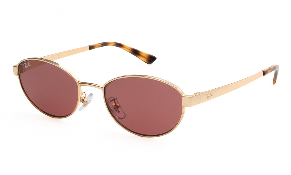 Ray-Ban RB3774D 001/69