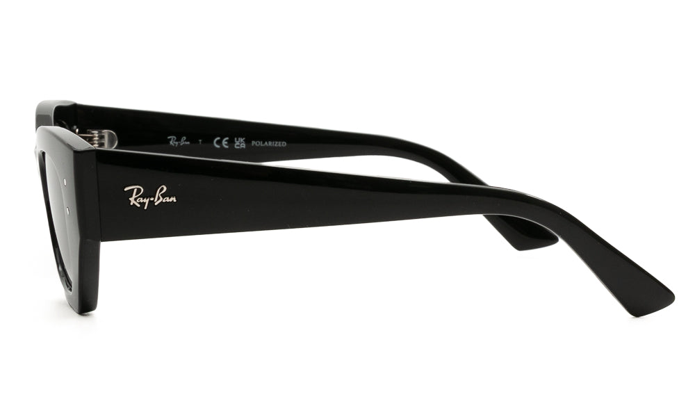 Ray-Ban ZENA4430 667781