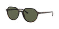 Ray-Ban Thalia RB 2195 902 31
