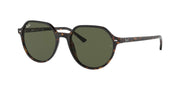 Ray-Ban Thalia RB 2195 902/31