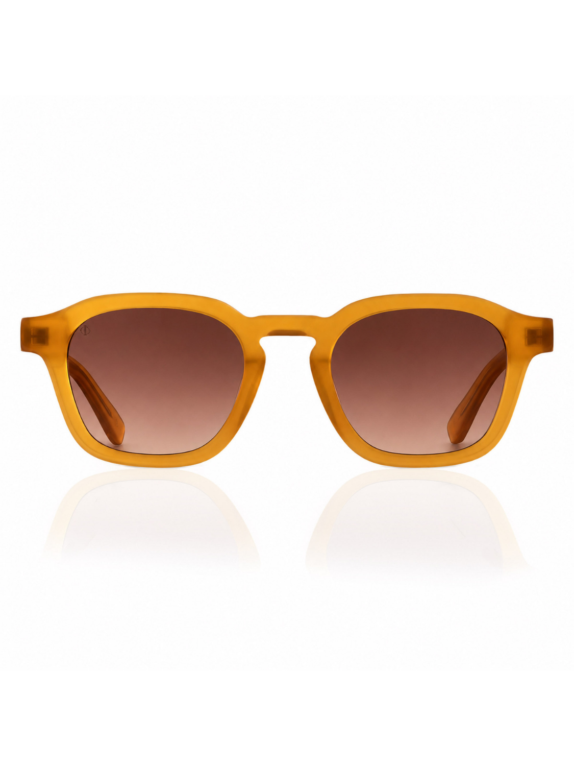 Faos Sikinos Electrum Amber / Maroon Γυαλιά Ηλίου