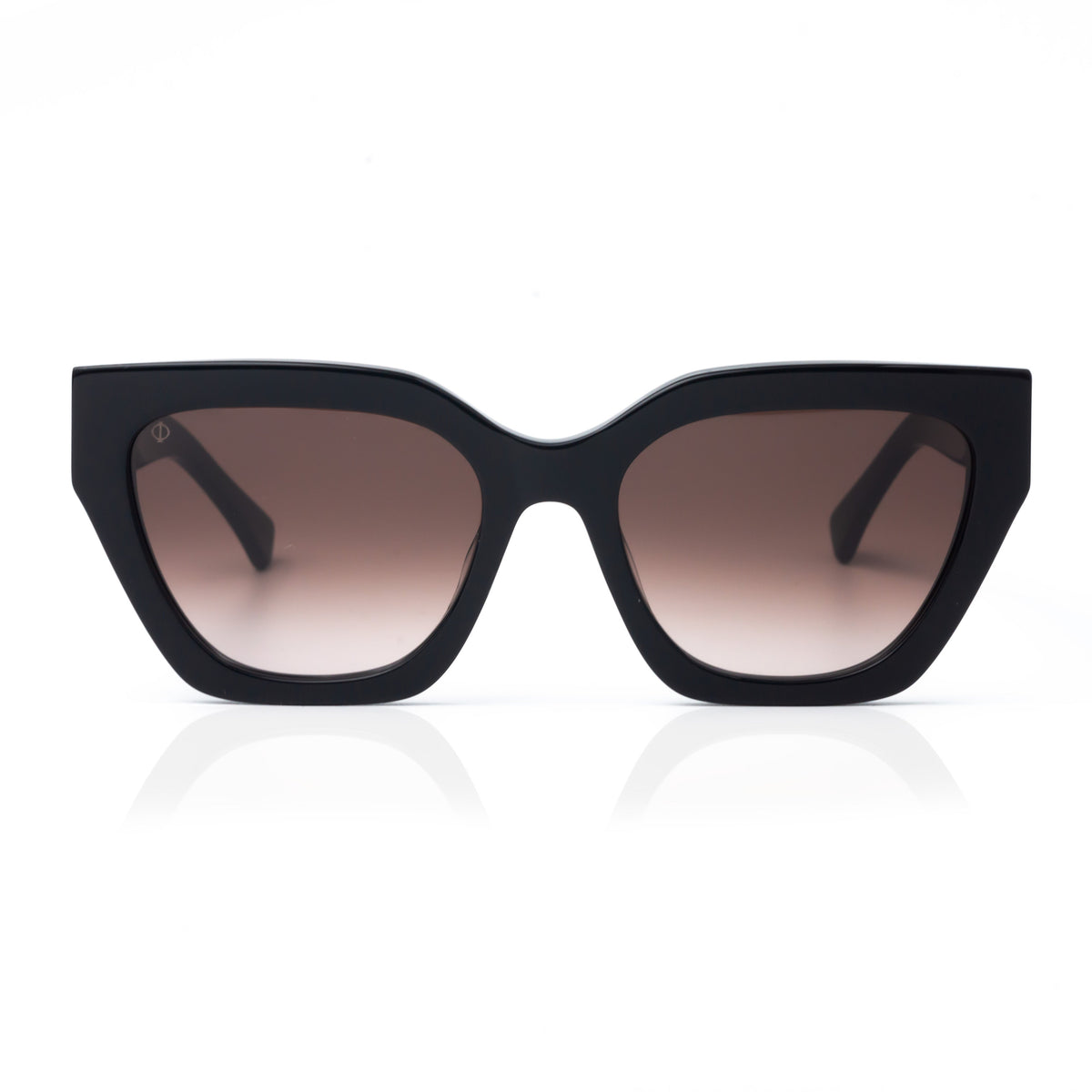 Faos Skyros Erevos Black / Purple Gradient Γυαλιά Ηλίου