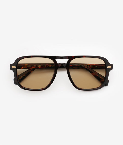 Gast SYN CLASSIC HAVANA Γυαλιά Ηλίου