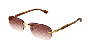 Gucci GG1221S 004