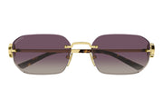 Gucci GG2228S 003